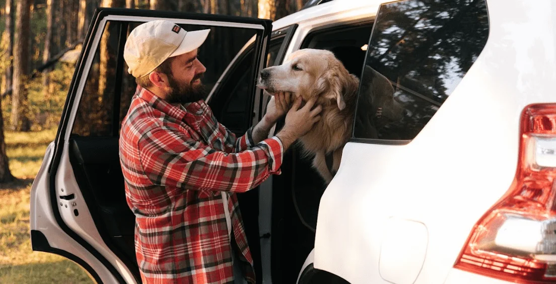 Honda HR-V Dog Safety Belt for English Cocker Spaniels